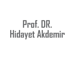 Prof. Dr. Hidayet Akdemir - Web Sitesi